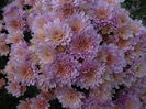 DSC01174