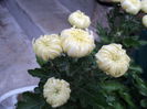 FOTO 2014 176