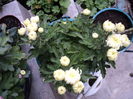 FOTO 2014 189