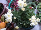 FOTO 2014 203