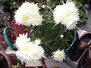FOTO 2014 208
