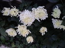 FOTO 2014 216
