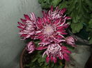 FOTO 2014 175