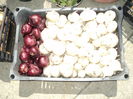 FOTO 2014 014