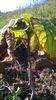 WP_20141019_012