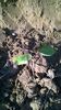 WP_20141019_015