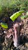 WP_20141019_018