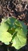 WP_20141019_020
