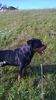 WP_20141019_021