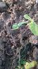 WP_20141019_027