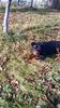 WP_20141019_036
