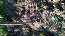 WP_20141019_006