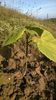 WP_20141019_007