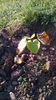 WP_20141019_016