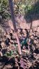 WP_20141019_017