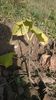 WP_20141019_024