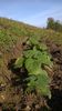 WP_20141019_025
