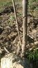 WP_20141019_029