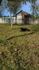 WP_20141019_030