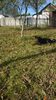 WP_20141019_031