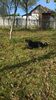 WP_20141019_032
