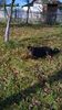 WP_20141019_034
