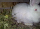 CAM02191
