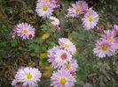 DSCN8867