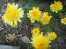 DSCN8869