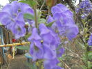 DSCN8878
