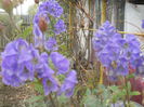 DSCN8879