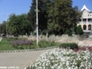 STB_0255[1]