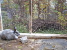 SAM_0048