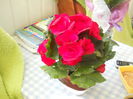 ziua lui Aurel 5 iulie 2012 026