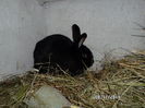 SAM_0108