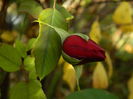 DSCN2967