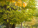 DSCN3004