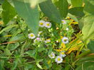DSCN3020