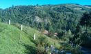 IMAG0417