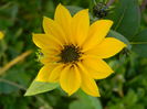 DSCN3029