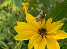 DSCN3033