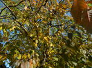 DSCN3038