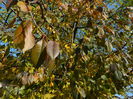 DSCN3039