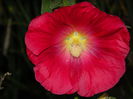 DSCN3089