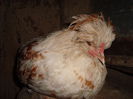 DSC02907