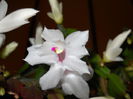 DSCN4853_012