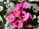 SAM_6539