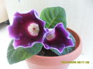 SAM_6545