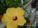 SAM_6566