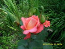 SAM_6609